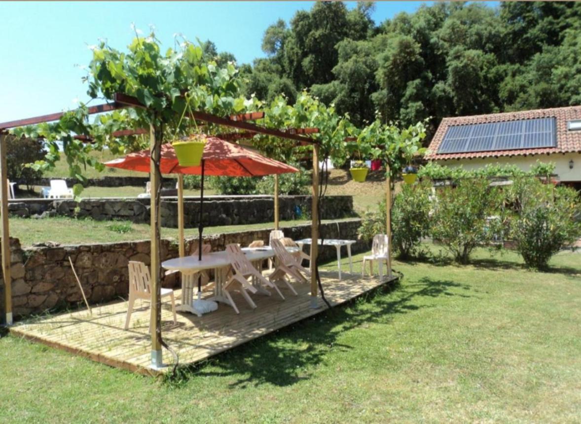 Gites Carbuccia En Corse Avec Piscine Chauffee المظهر الخارجي الصورة