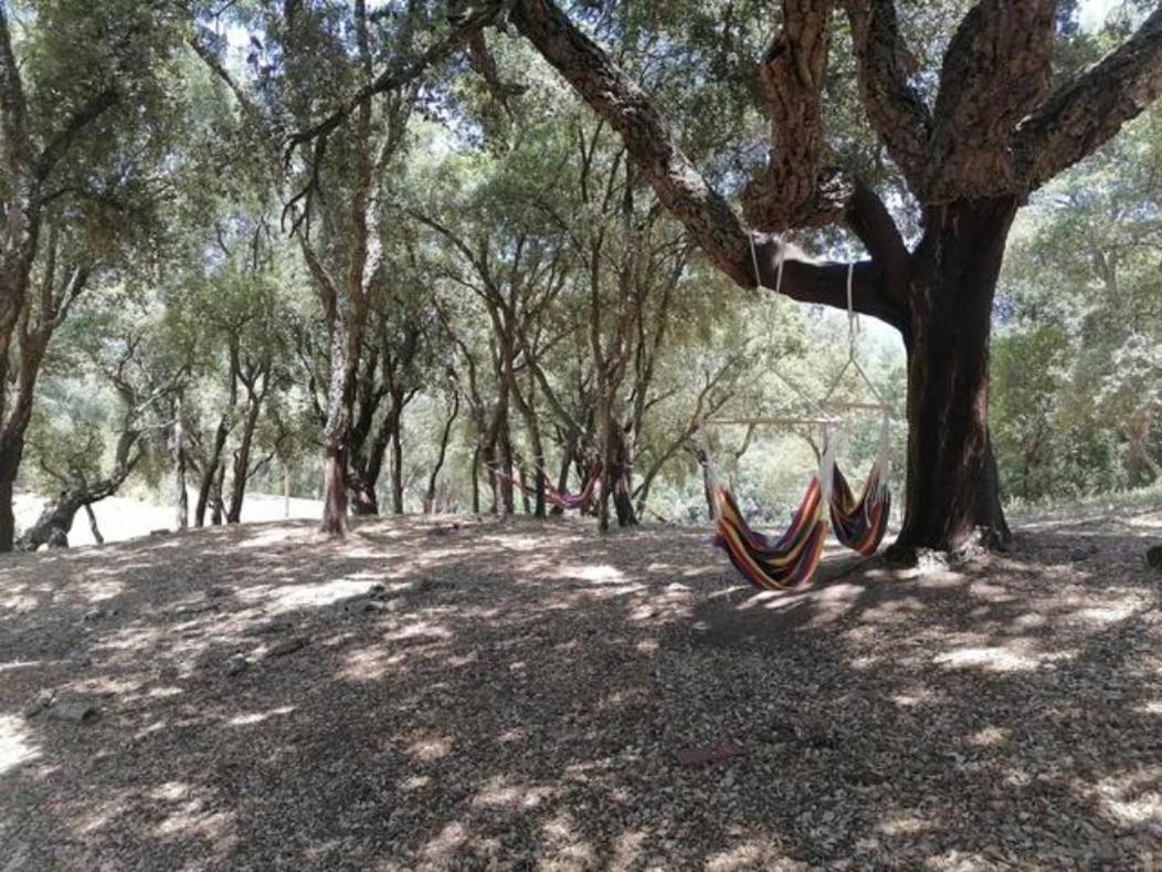Gites Carbuccia En Corse Avec Piscine Chauffee المظهر الخارجي الصورة