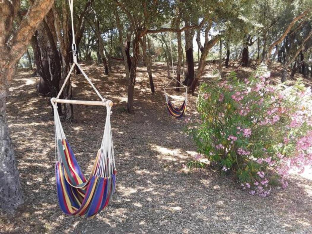 Gites Carbuccia En Corse Avec Piscine Chauffee المظهر الخارجي الصورة